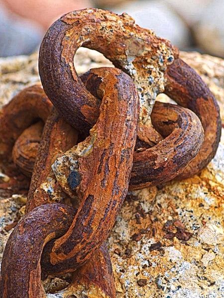  - Rustic