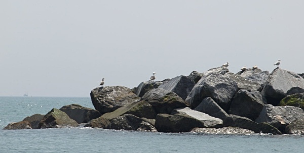  - Seascapes and Landscapes