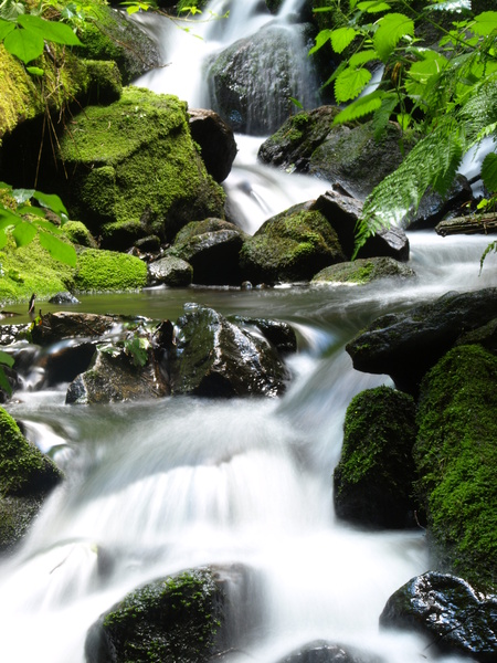  - Streams & Waterfalls