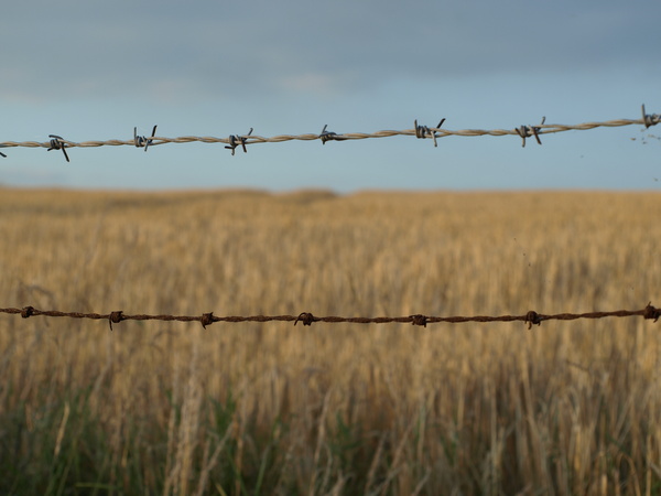  - Countryside