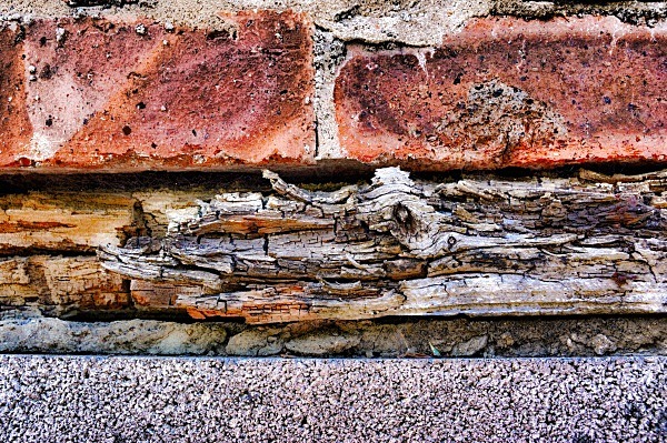  - Rustic