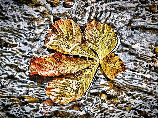  - Rustic