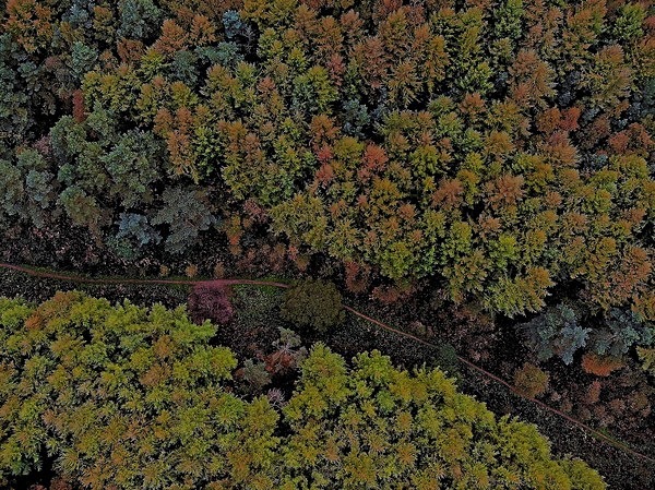  - Drone