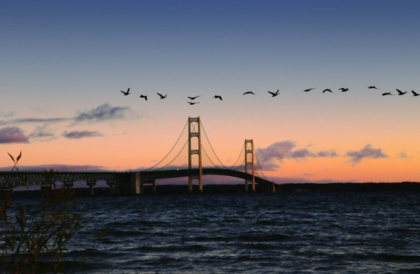 Mackinac Bridge at Sunset - Architecture and Night Skyline