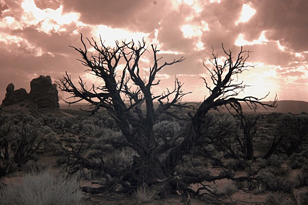 moody arches - Utah- Arches, Monument Valley, Canyonlands