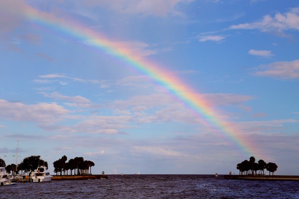 Tampa Florida Rainbow - Landscapes, Places, and Things in Nature
