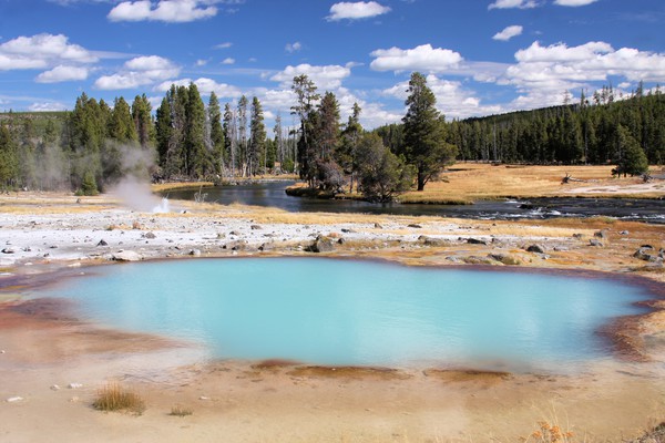 Black Opal Pool in Upper Geyser Basin - Yellowstone National Park
