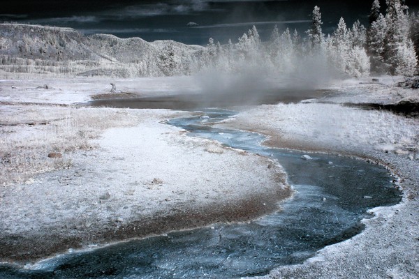 Yellowstone Pathway Infrared - Yellowstone National Park