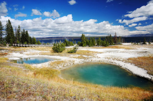  - Yellowstone National Park