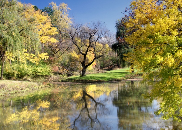 sidecut reflection - Landscapes, Places, and Things in Nature