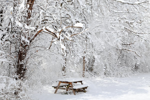 My own backyard... - Snow in April!