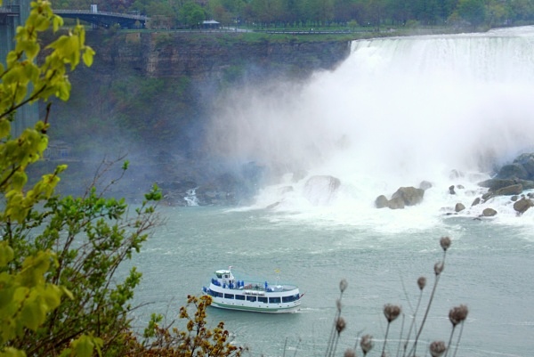 maid of mist behind leaves - Landscapes, Places, and Things in Nature