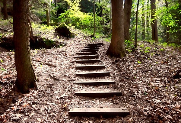 Steps to Nowhere - Landscapes, Places, and Things in Nature