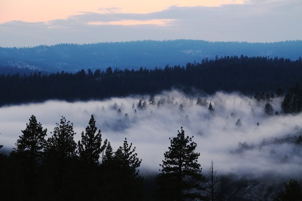Nightime Fog in Yosemite - California- Yosemite, Death Valley, and San Francisco