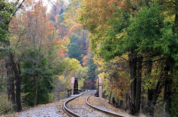 Train Coming... - Landscapes, Places, and Things in Nature