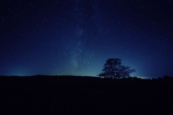 Milky Way at Big Meadows - Landscapes, Places, and Things in Nature
