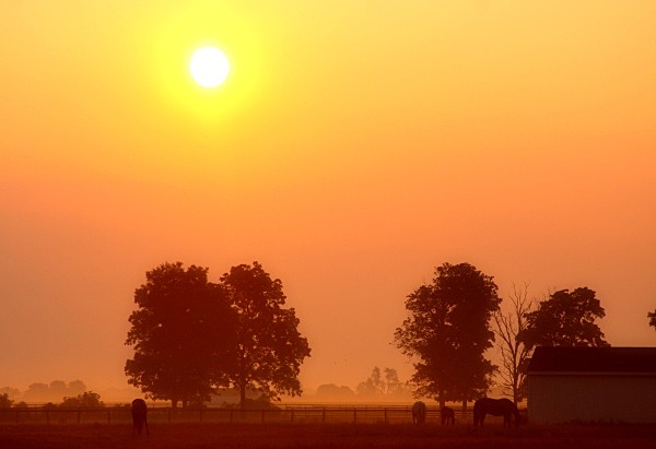 Foggy Sunrise above Findlay - Landscapes, Places, and Things in Nature