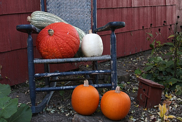 Cliche Pumpkin Scene - Landscapes, Places, and Things in Nature