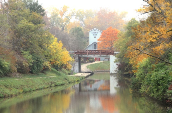 Ludwig in the Fall - Landscapes, Places, and Things in Nature