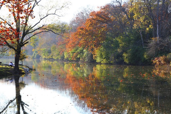 Side Cut Park in the Fall - Landscapes, Places, and Things in Nature