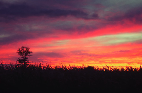 Perrysburg Sunrise - Landscapes, Places, and Things in Nature