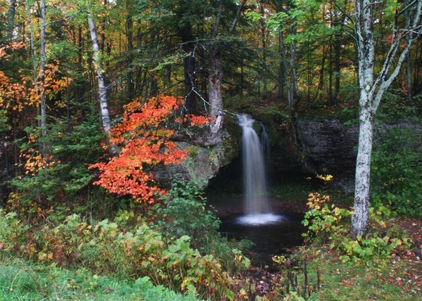scott falls - Landscapes, Places, and Things in Nature
