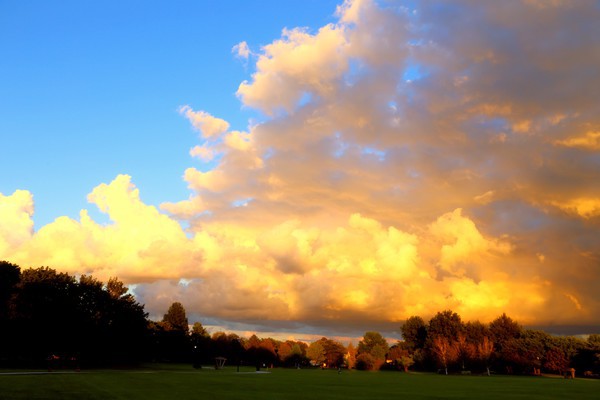  - Landscapes, Places, and Things in Nature