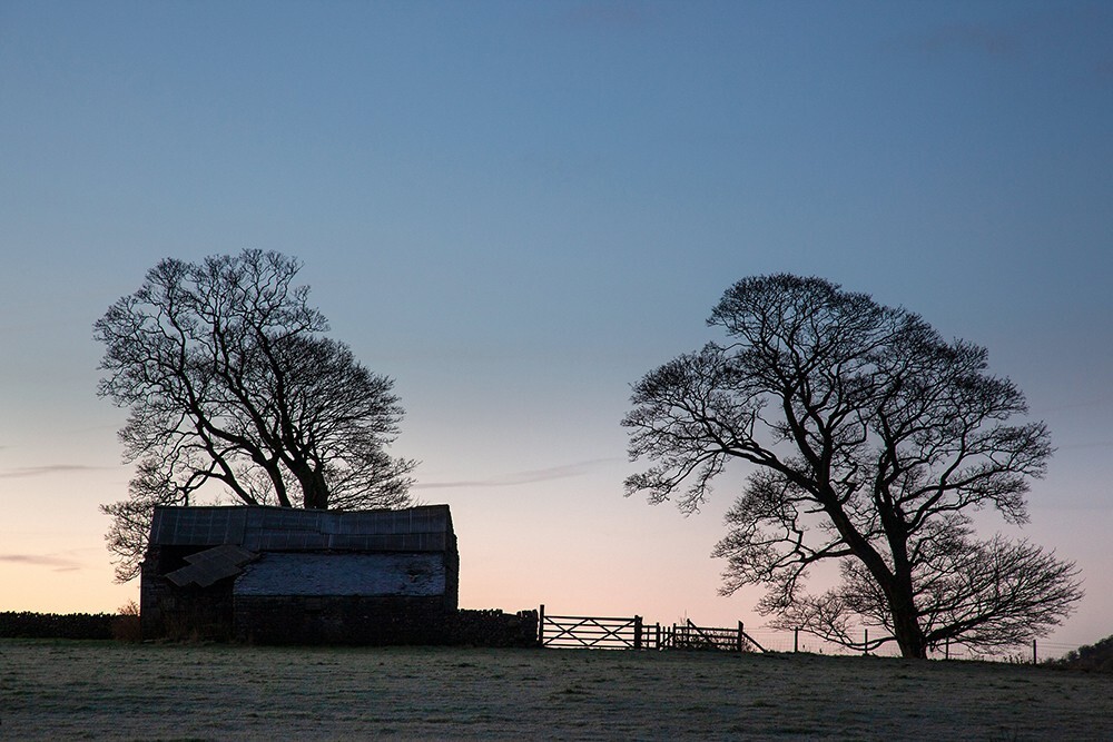 Trees and Barn, Peak District - Land