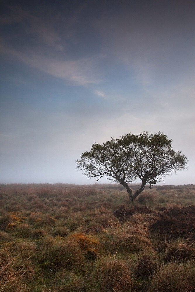 White Edge Moor, Peak District - Land
