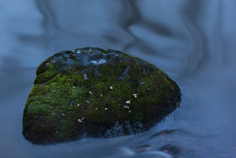 River Derwent - Abstract and Detail