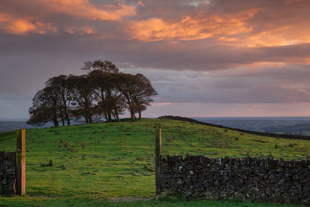 Ilam, Peak District - Land