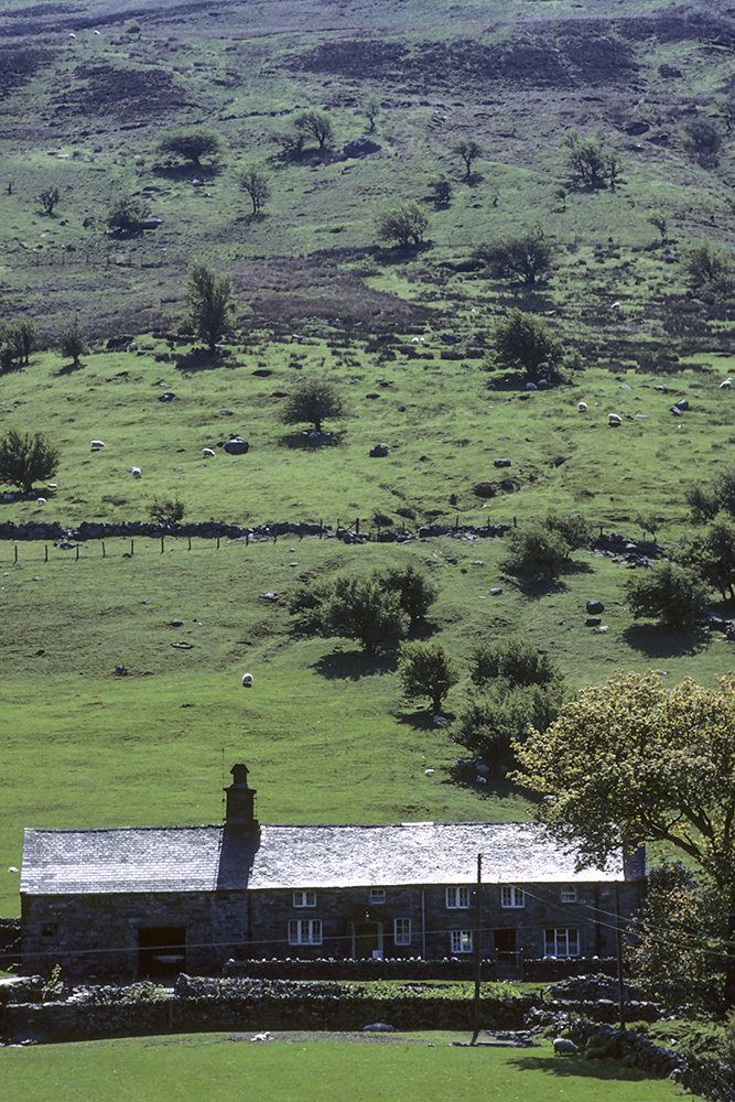 Pen-y-bedw, Snowdonia - Books