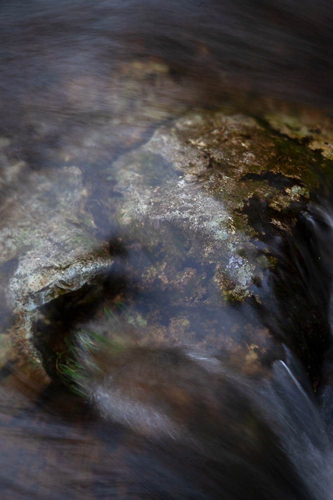 Tarn Hows, Lake District - Abstract and Detail