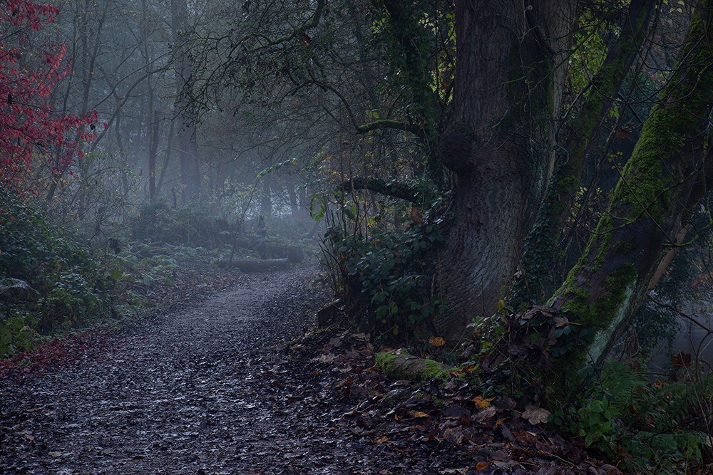 Ilam Park, Peak District - Land