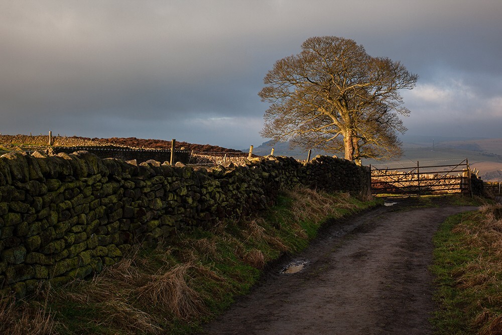 Curbar Gap, Peak District - Land