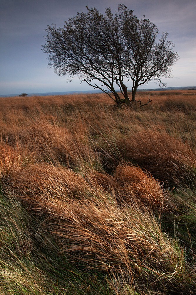 Big Moor, Peak District - Land