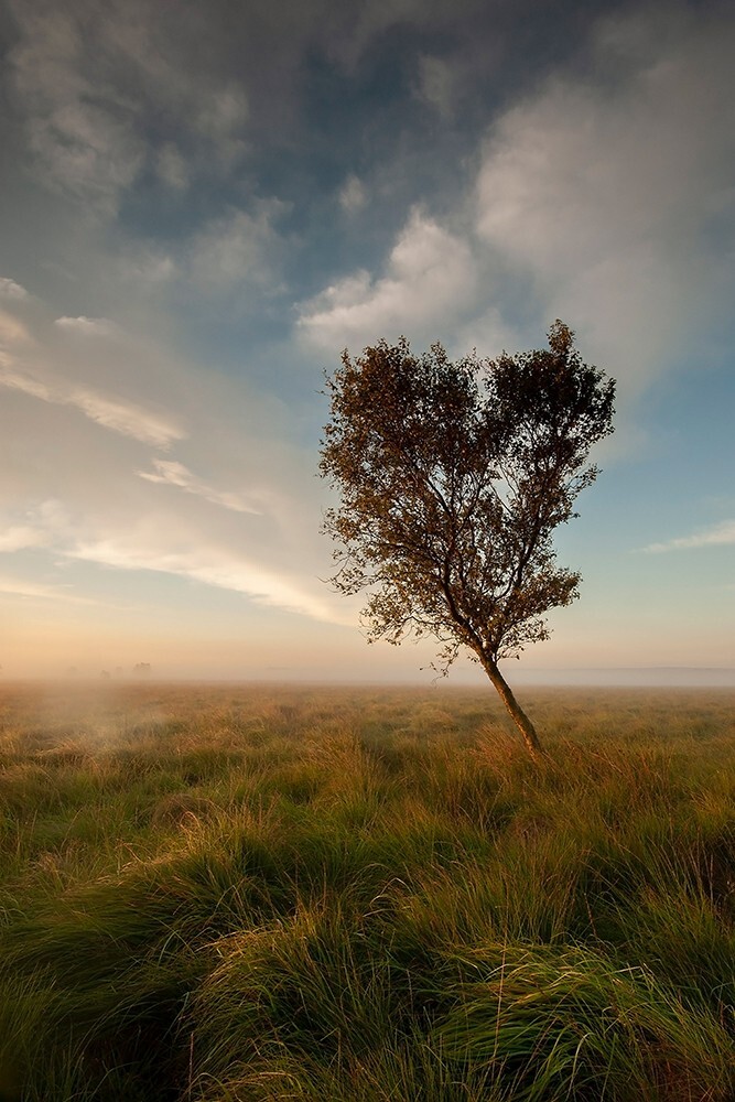 Leash Fen, Peak District - Land