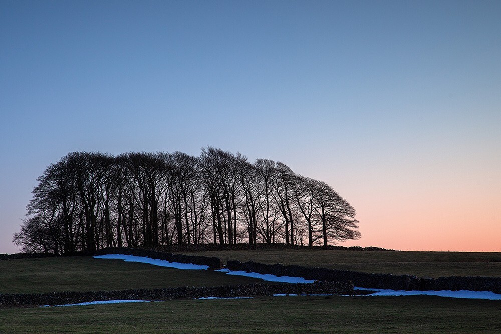 Sheldon, Peak District - Land