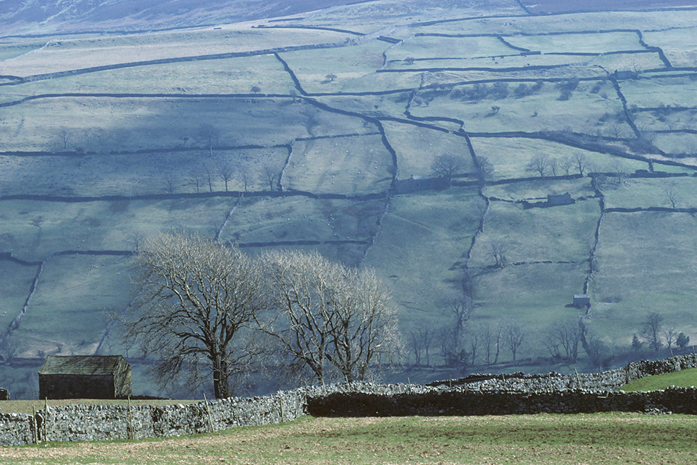 Swaledale, Yorkshire Dales - Books