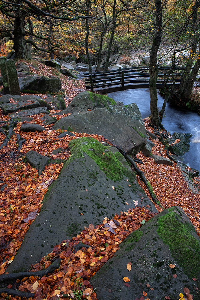 Padley Gorge, Peak District - Town and Country