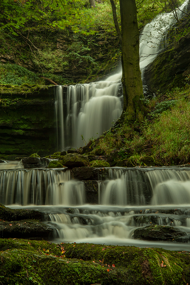 Scaleber Force, Yorkshire Dales - Abstract and Detail