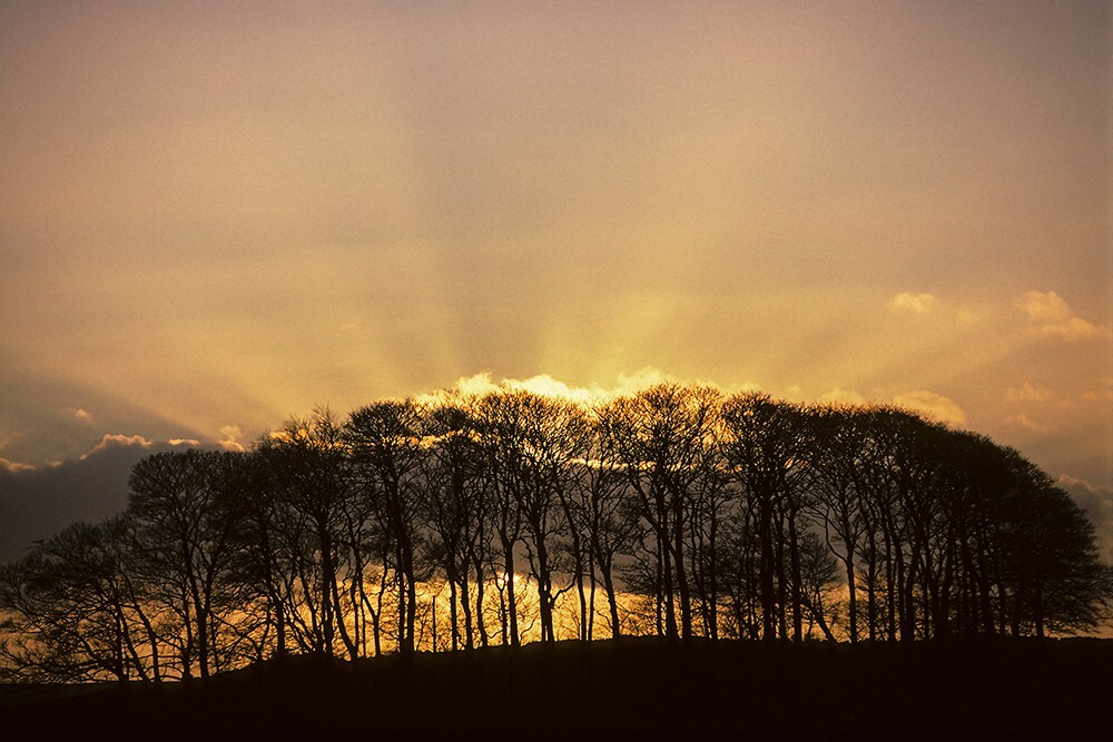 Sheldon, Peak District - Land