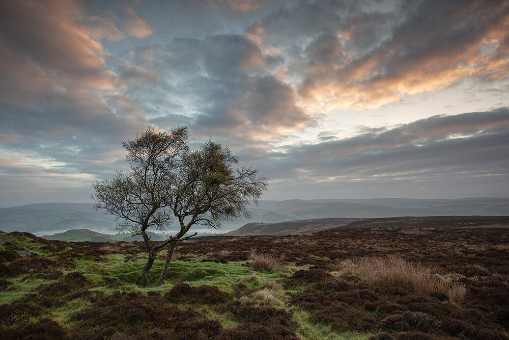 Eyam Moor, Peak District - Land