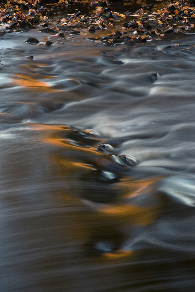 River Manifold - Abstract and Detail