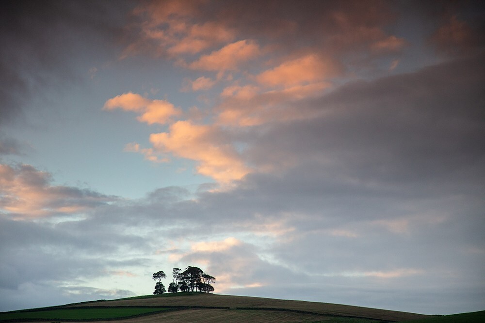 Moat Low, Peak District - Land
