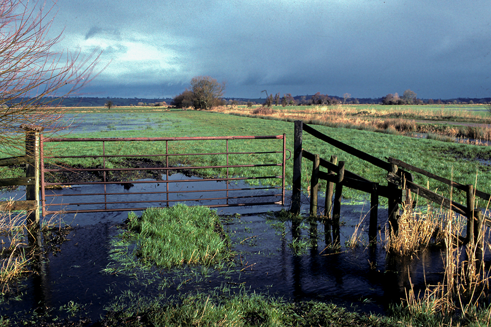 Somerset Levels NNR - Books
