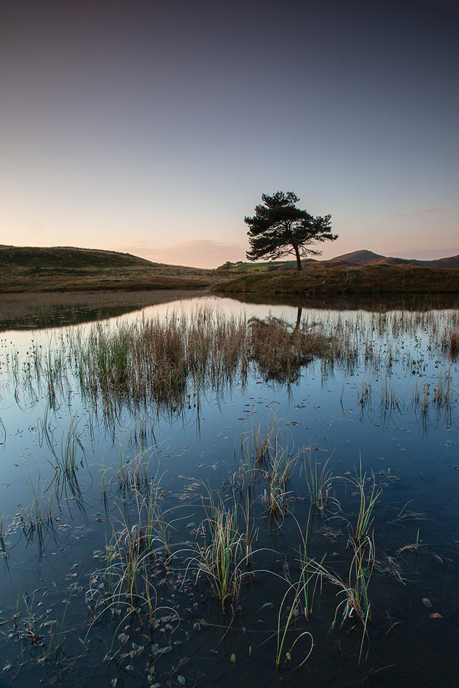 Kelly Hall Tarn, Lake District - Land