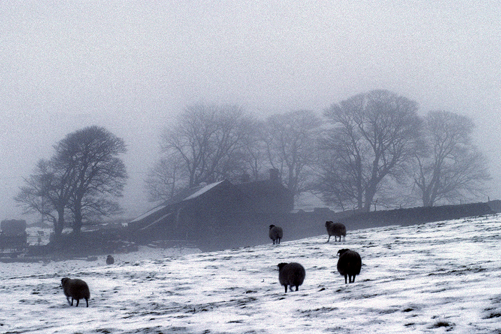 Stanage House Farm, Peak District - Abstract and Detail