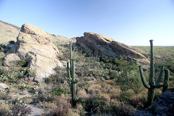 RT5B7155 - California and Arizona 2010