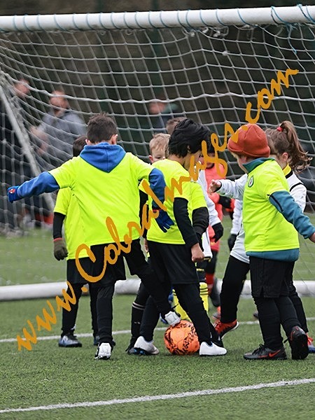 A_183 - Action: Group A: Burgess Hill White, Cuckfield United, Oakwood, Three Bridges Ambers
